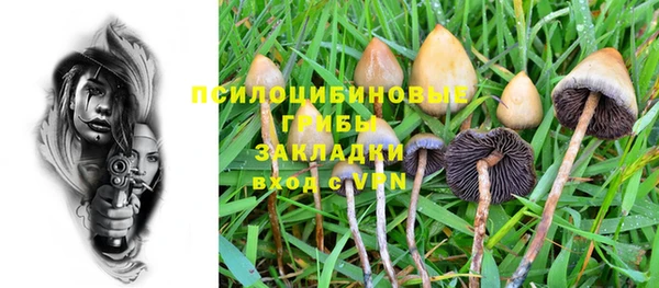 спиды Дмитров