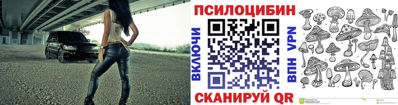 Галлюциногенные грибы мицелий  Купить где  Ивдель 