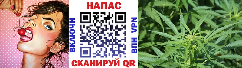 Бошки марихуана VHQ  Купить закладки  Ивдель 